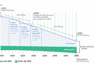 Graphique montrant les émissions et absorption de GES sur une échelle de temps